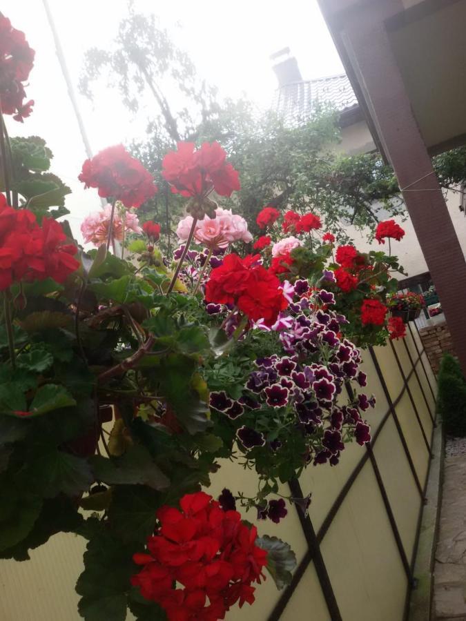 Villa Kasinda SJJ Exterior foto